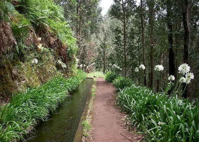 度假居 Pico Dos Anjos 莫尼兹港